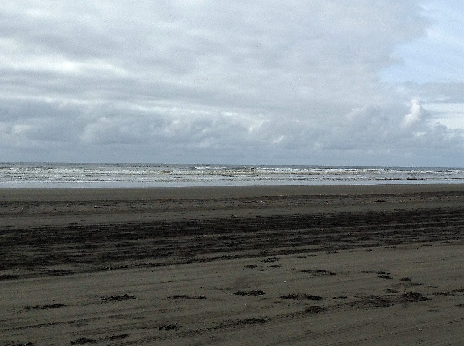 Beach Scene Waves Oceans Shores, WA #graysharborbeaches