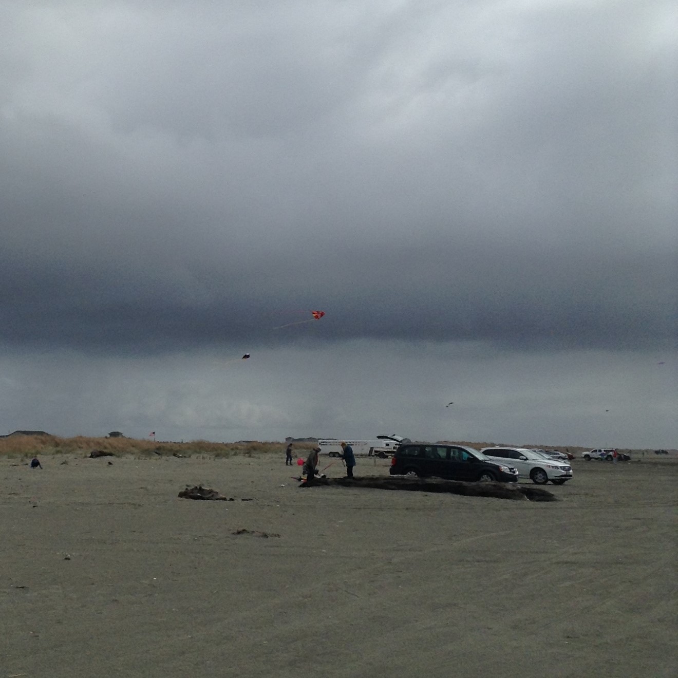 Ocean Shores Wa Calendar Of Events 2022 April 2022 Calendar