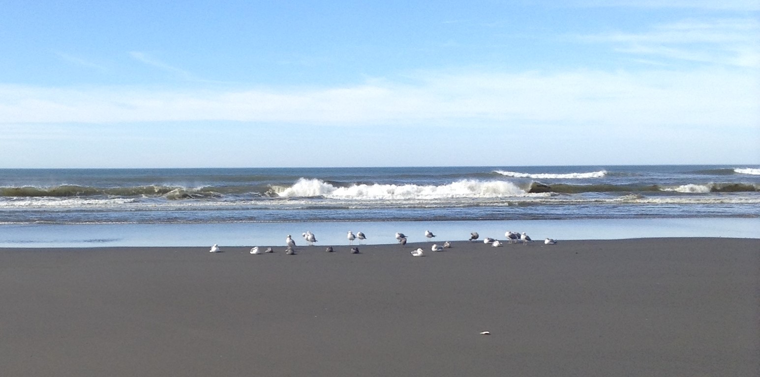 Ocean Shores, WA.