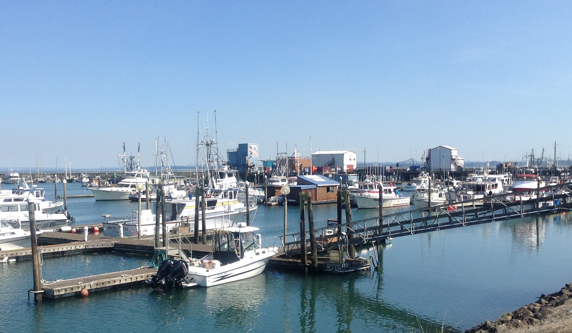 Westport Marina- Westport, WA on a Quiet Afternoon