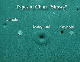 How to find a razor clam hole and the three types. #graysharborbeaches #razorclamdigging