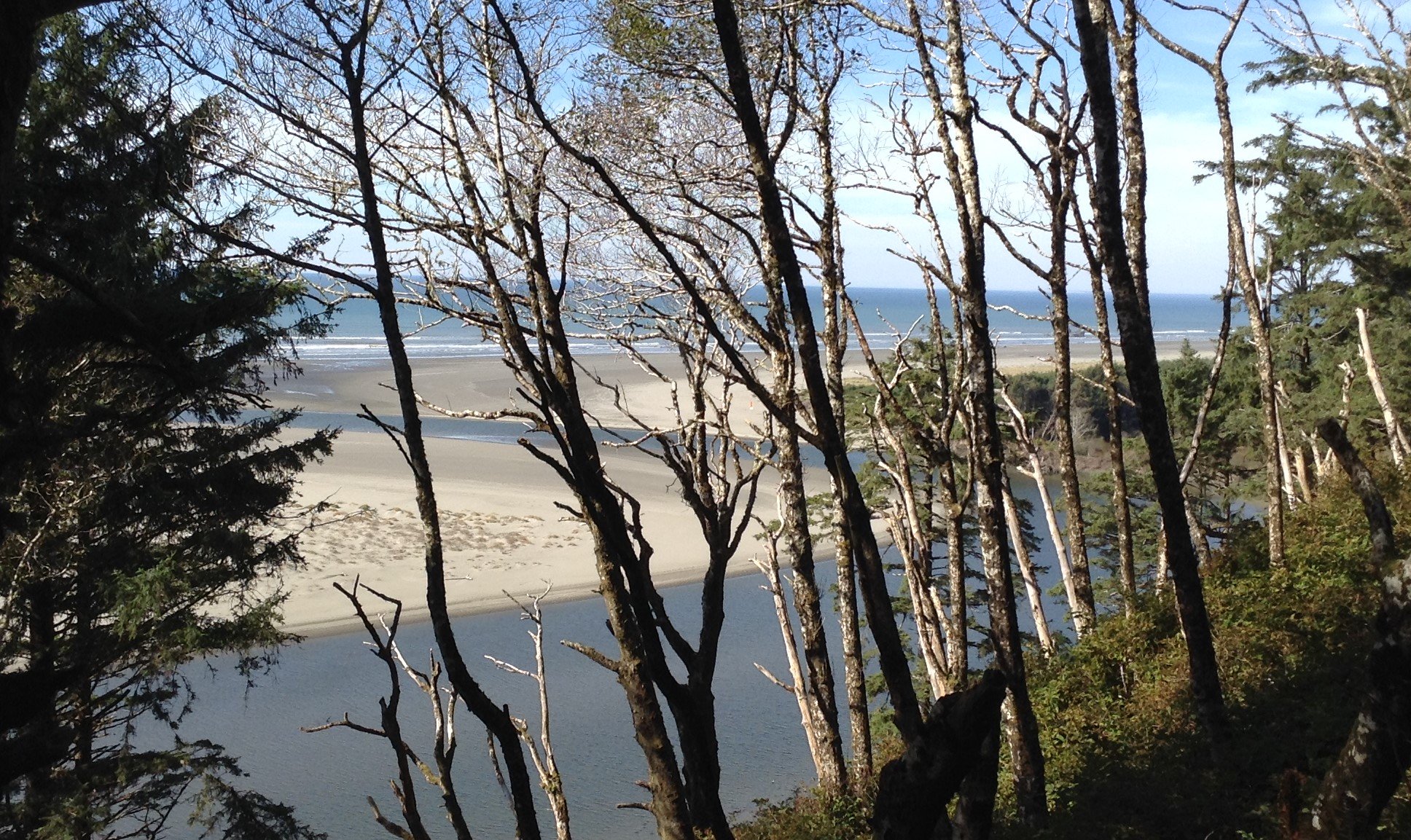 Peek-A-Boo view of the Pacific Ocean near Seabrook, WA USA