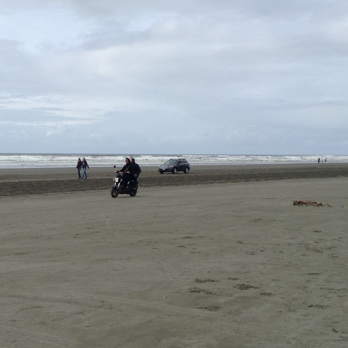 Beach life moped rentals on beach #graysharborbeaches