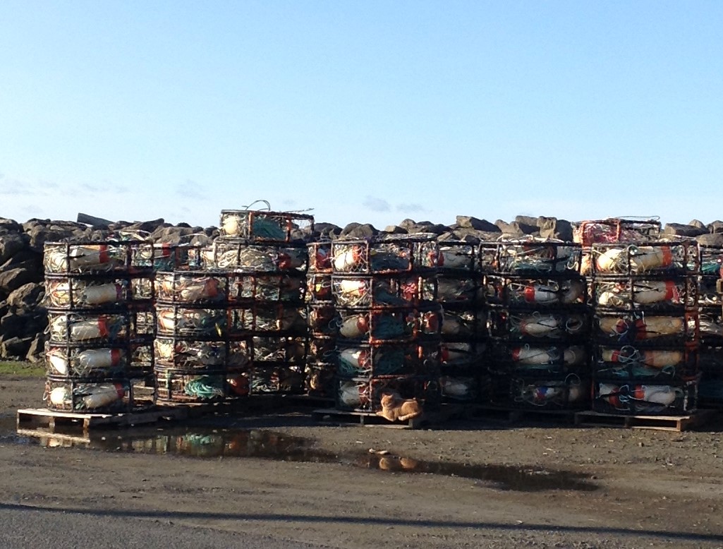 Stacked Crab Pots ready to go for the start of Dungeness Crab season #graysharborbeaches