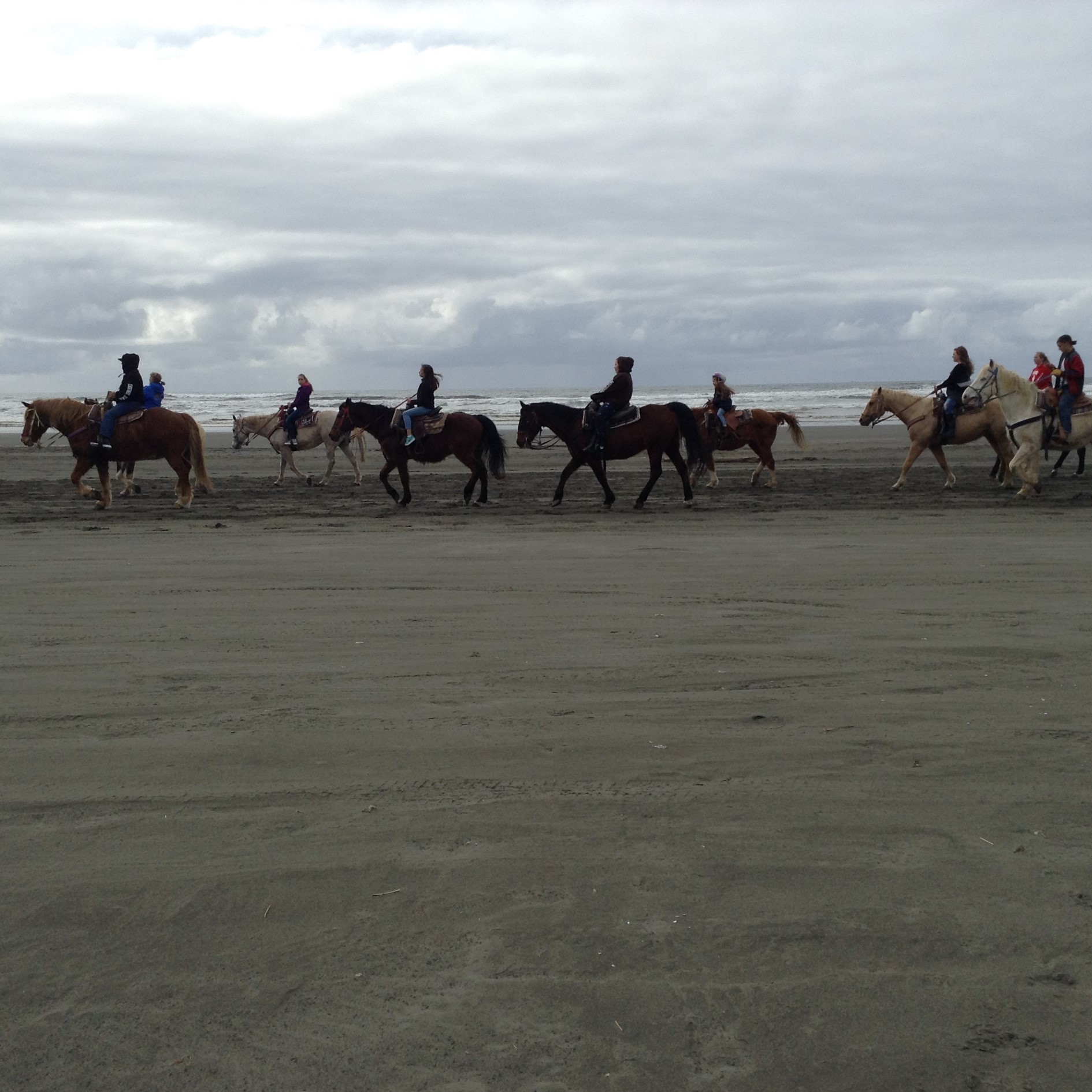 Guided Horseback Rides, Ocean Shores Washington #graysharborbeaches