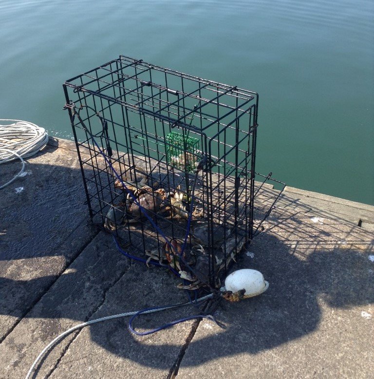 Recreational Crab Fishing-Westport Marina-Docks
