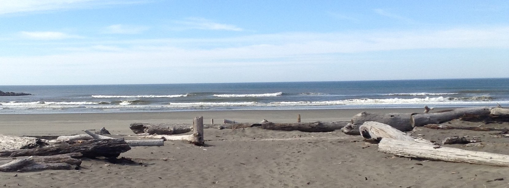 Dirftwood near jetty at Ocean Shores, WA #graysharborbeaches, #oceanshoreswa #springtime